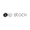 Ziip Stock Logo